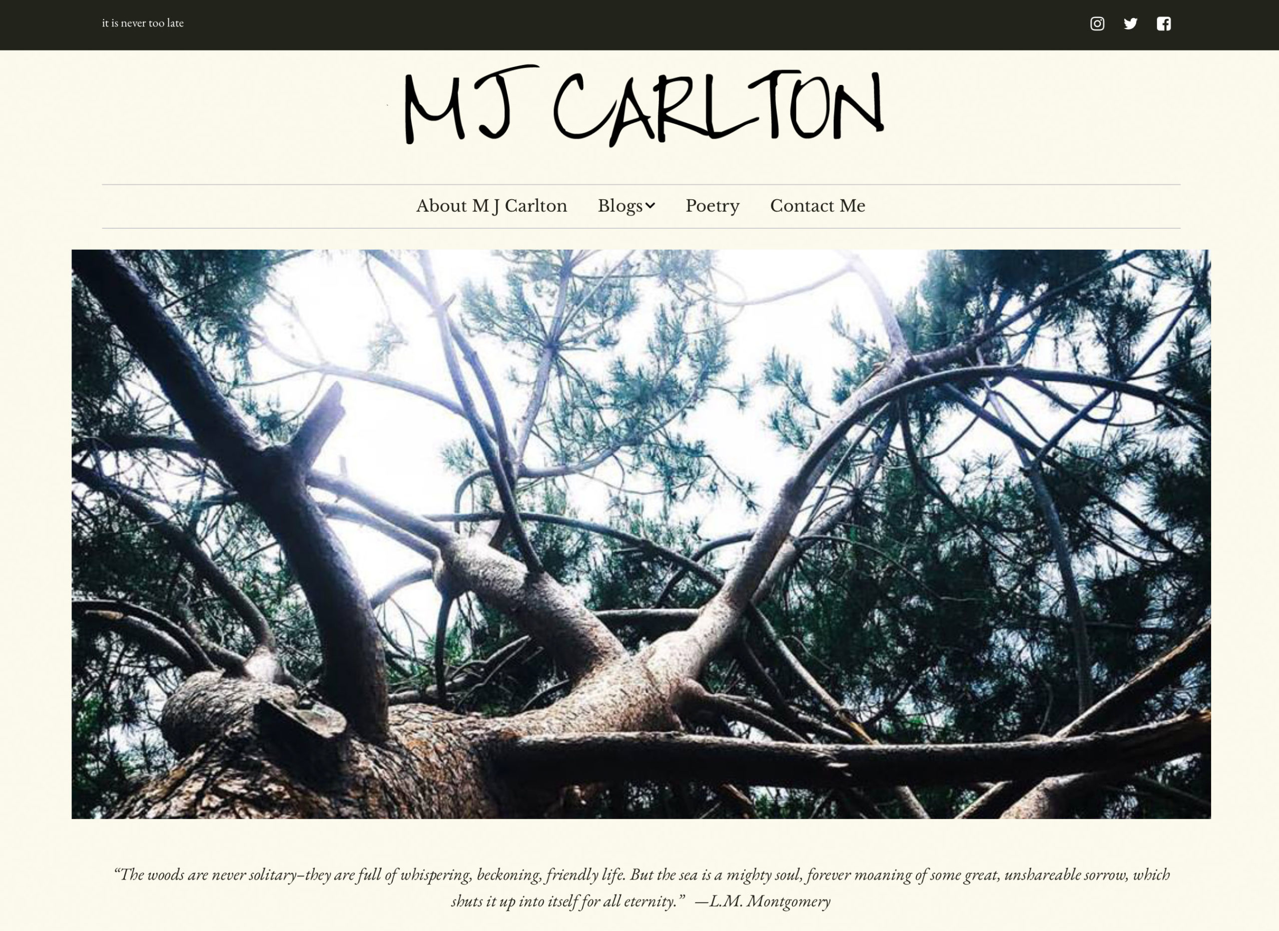 MJ Carlton Author Website